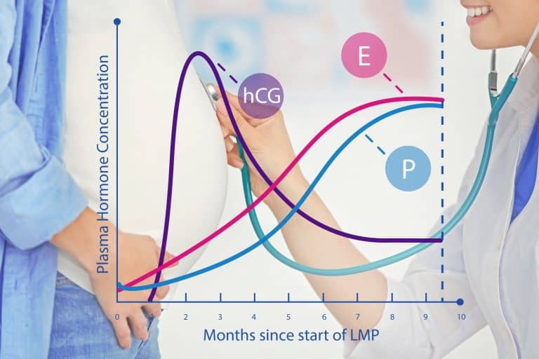 how-soon-can-you-ovulate-after-a-d-c-2023