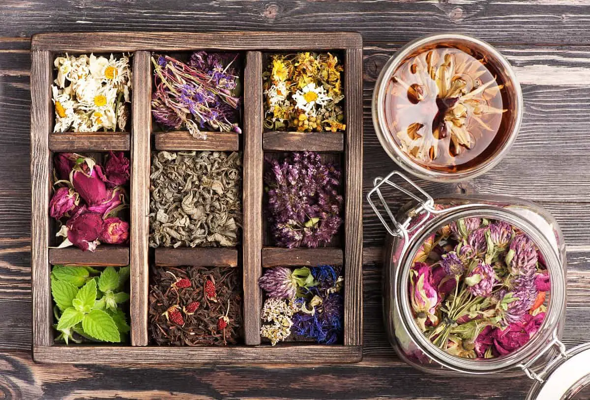 Is Sleepytime Tea Safe To Drink While You Are Pregnant 2022
